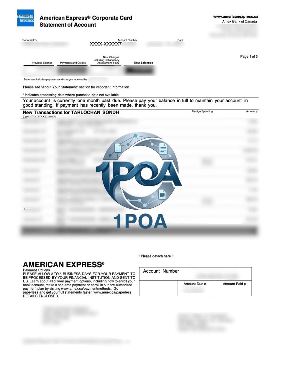 加拿大 美国运通 AMEX 信用卡账单 加拿大地址证明生成 Generate Canadian address proof for American Express (AMEX) credit card statements.