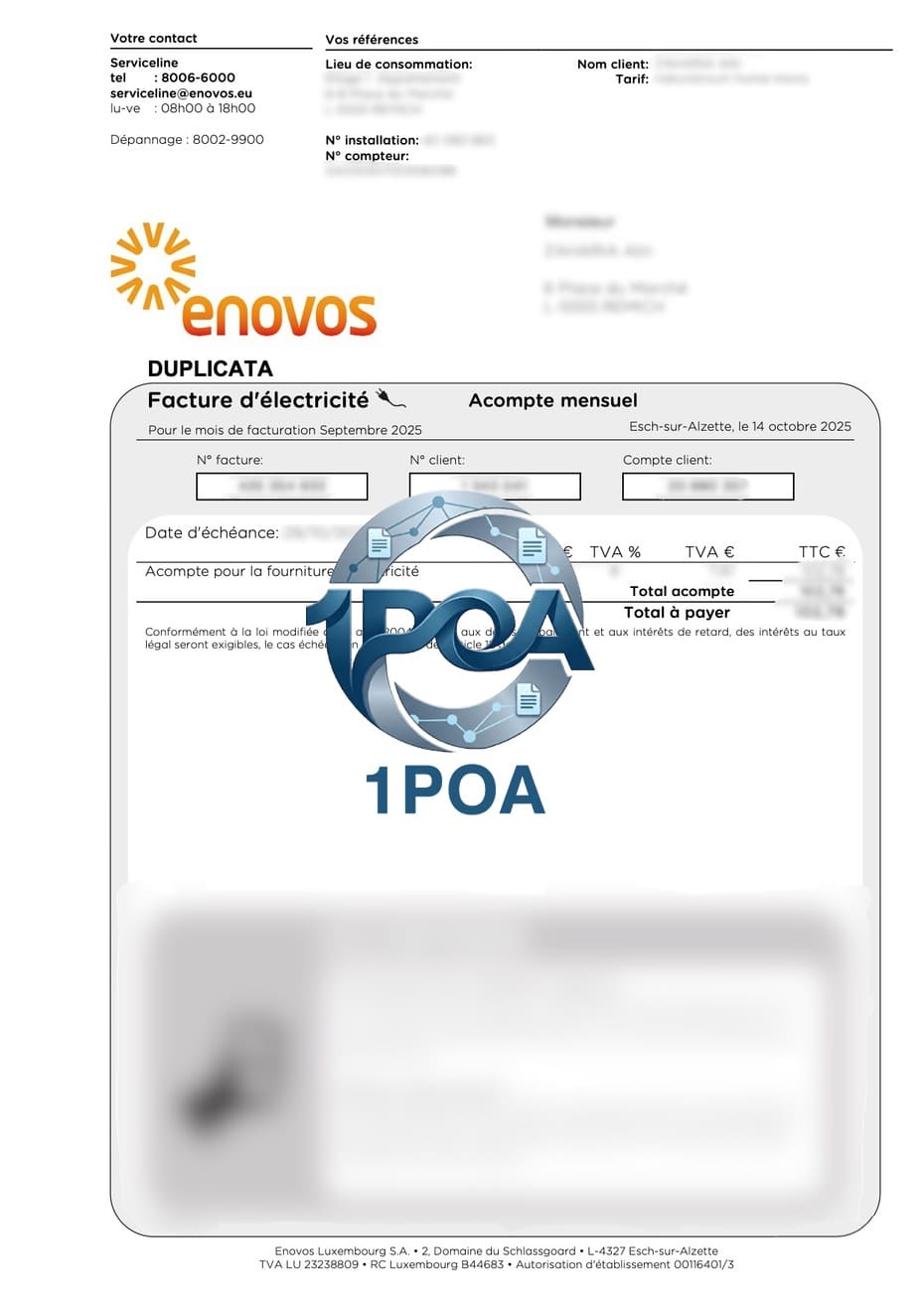 卢森堡水电费账单 Enovos 电费地址证明生成器 Luxembourg electricity and water bills - Enovos electricity bill address proof generator